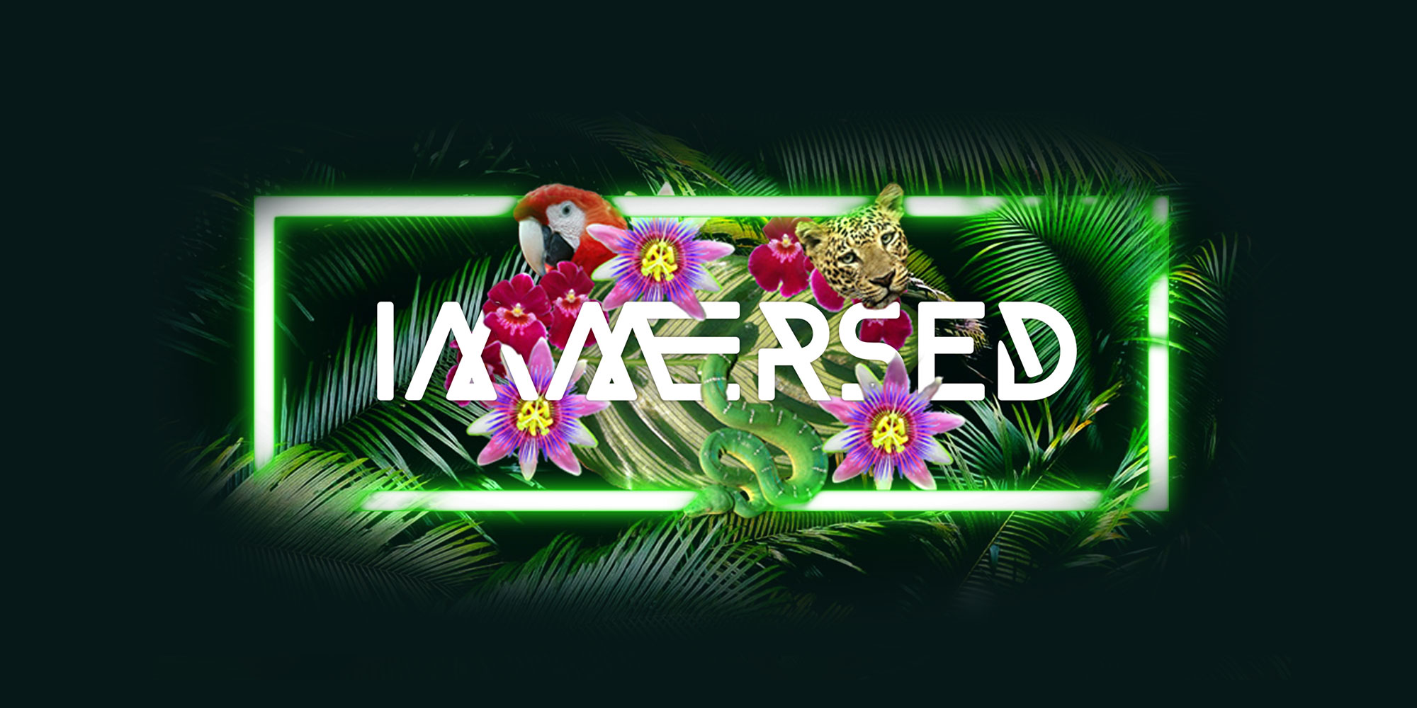 Immersed! Music Festival